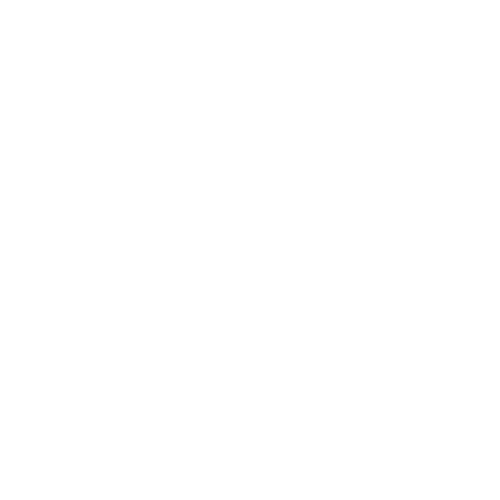 Lightning Icon
